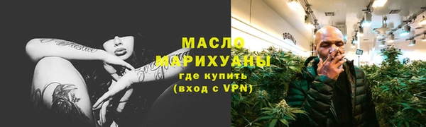 индика Богданович